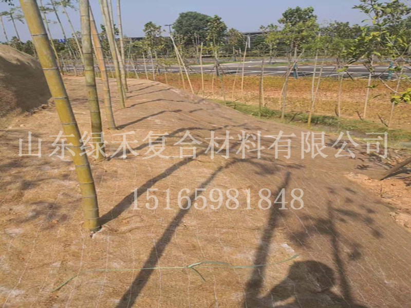 湘潭河道边坡绿化施工现场