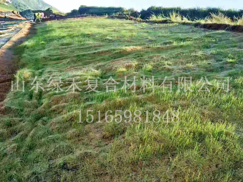 重庆市南岸区生态修复绿地工程