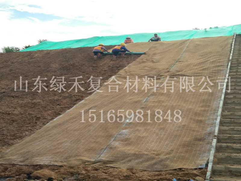 北京通州植物纤维毯6800平今日发车！