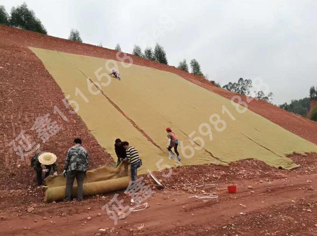 椰丝毯在山坡坡面上如何铺设