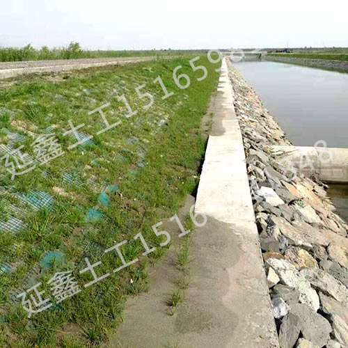 植生毯（村级）河道改造项目施工应用(图2)