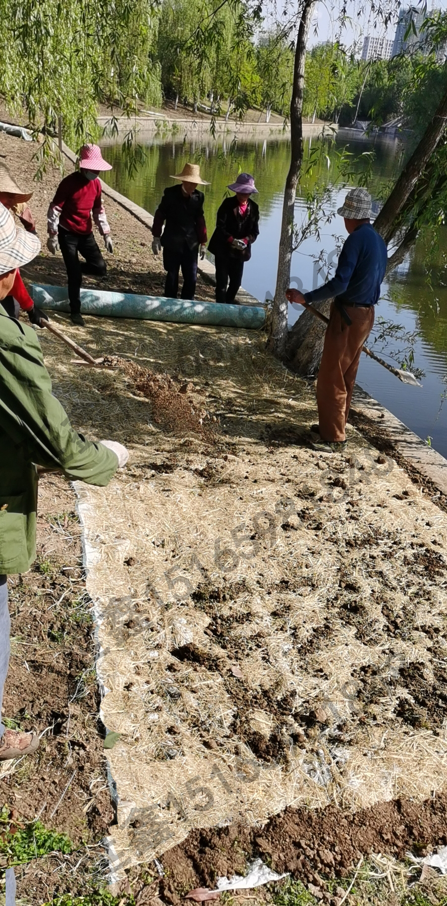 植被毯郊区河道防护绿化工程应用效果