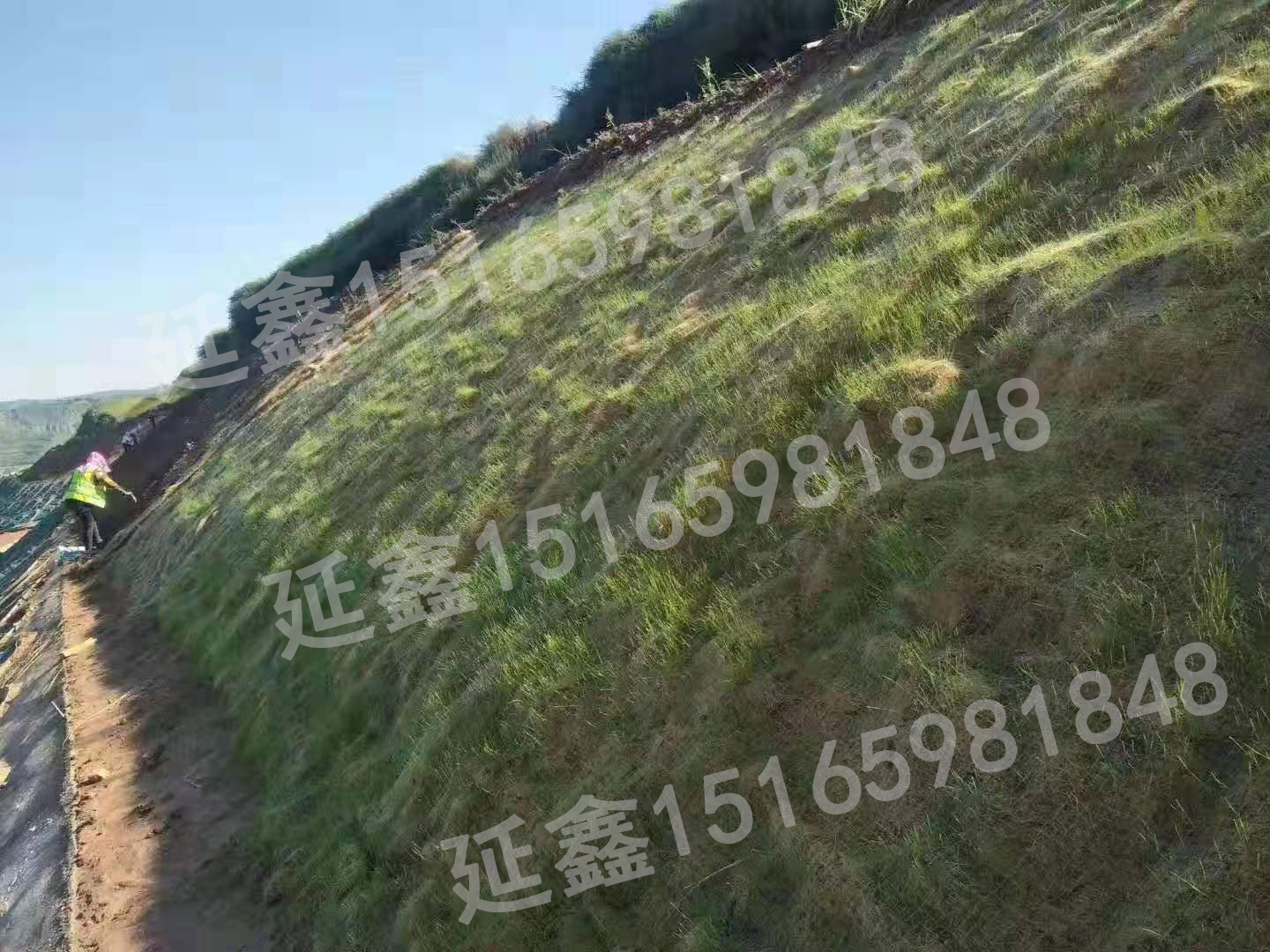 植生毯农村水环境治理工程如何进行生态护坡?(图1) 植生毯农村水环境治理工程如何进行生态护坡?(图1)