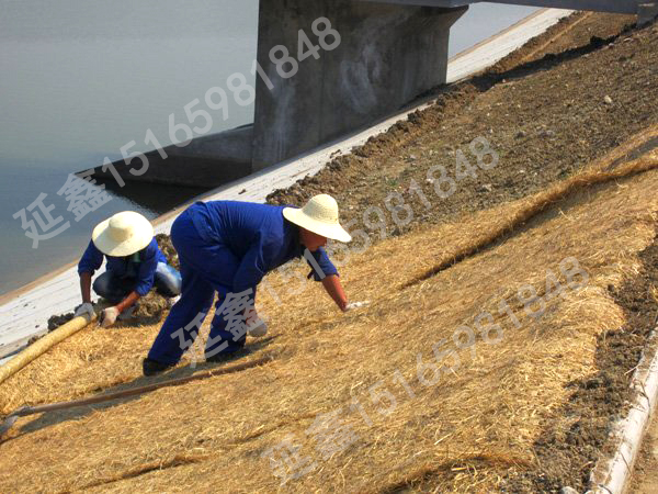 护坡草毯——稻草毯公路护坡应用(图2)