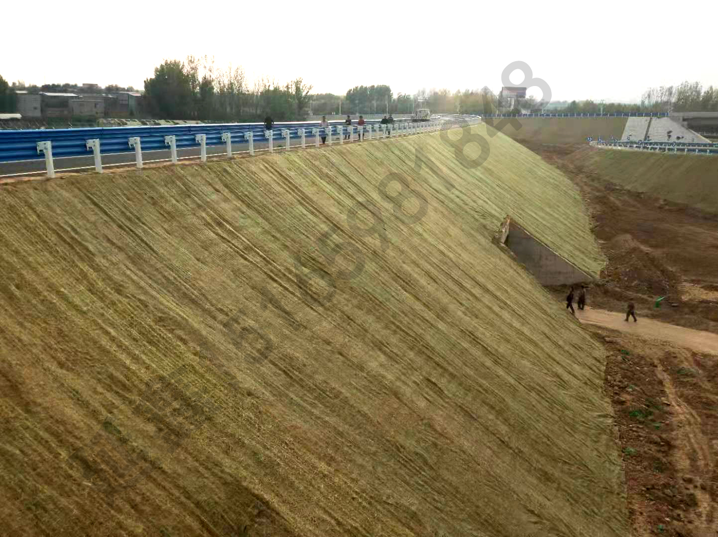 植生毯是如何天然护坡的呢？(图2)