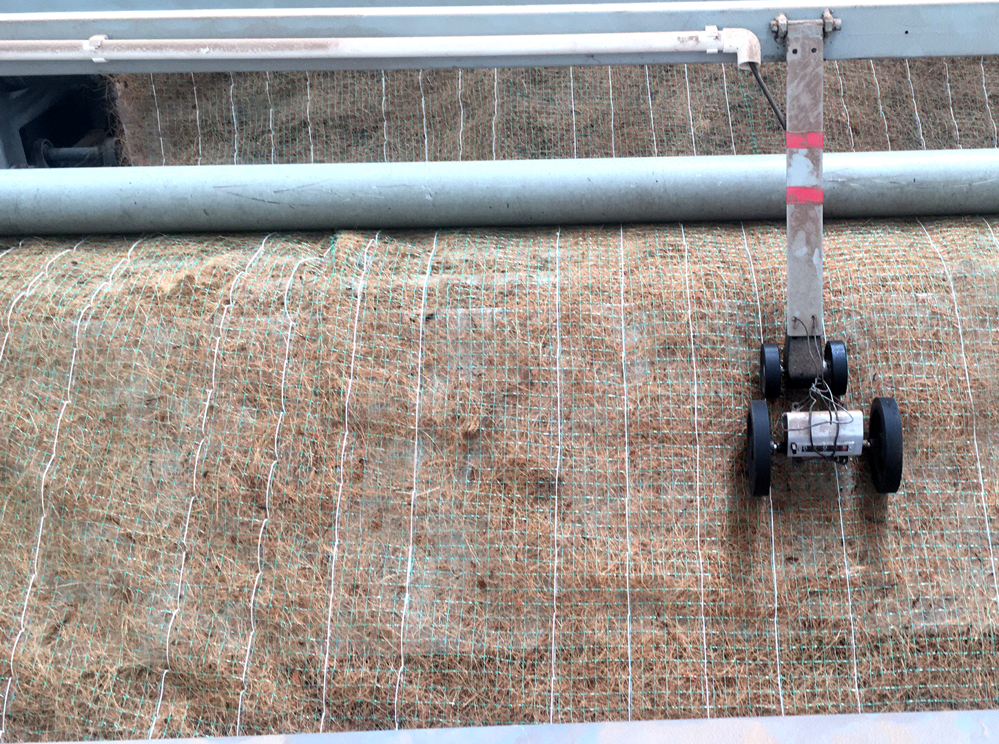 滁州的田总订购8600平椰丝毯正在生产中！(图1)